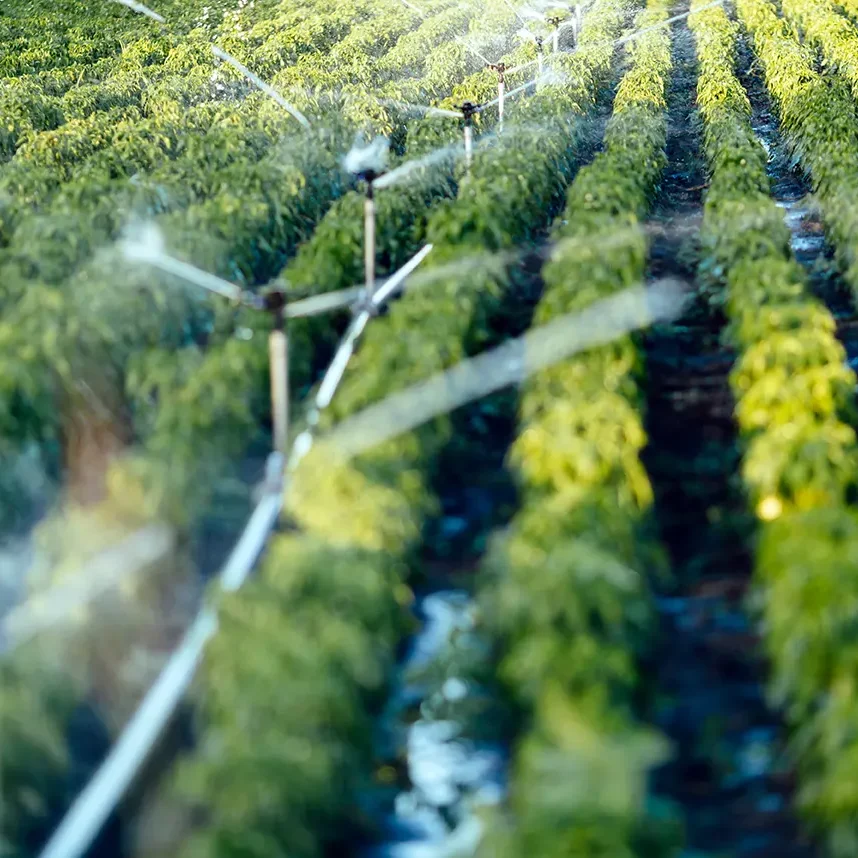 Aquaflo-irrigation-commercial